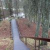 Sutvarkytas Birštono piliakalnis: įrengti laiptai, apžvalgos aikštelės