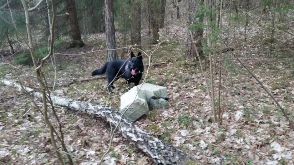 Kontrabandininkams sučiupti – ir tarnybinis šuo, ir ginklas