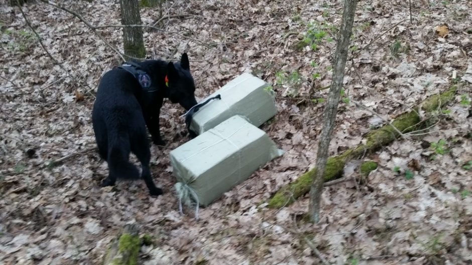 Kontrabandininkams sučiupti – ir tarnybinis šuo, ir ginklas