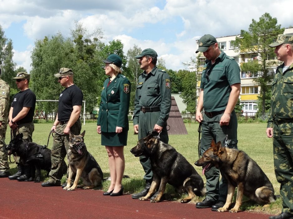 Tarnybinių šunų čempionate triumfavo belgų aviganis Grikis