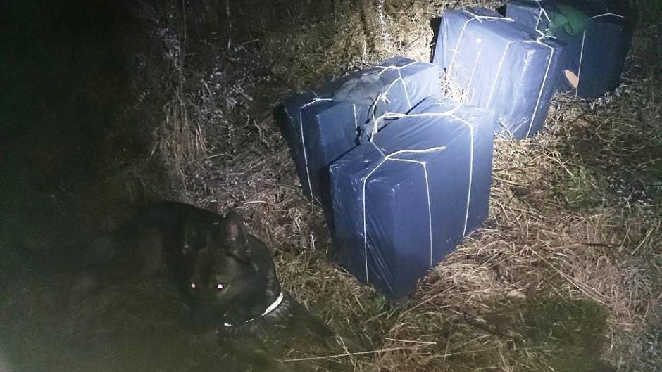 Kontrabandininko sulaikymo operacijoje vėl pasižymėjo vokiečių aviganė