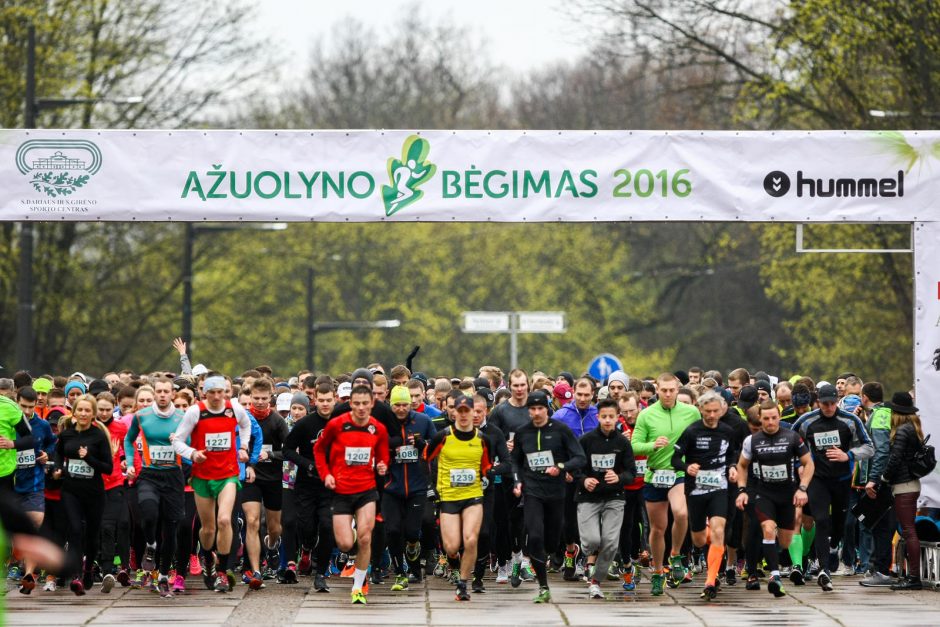 B. Vėsaitė per „Ąžuolyno bėgimą“ slėpėsi po medžiu?