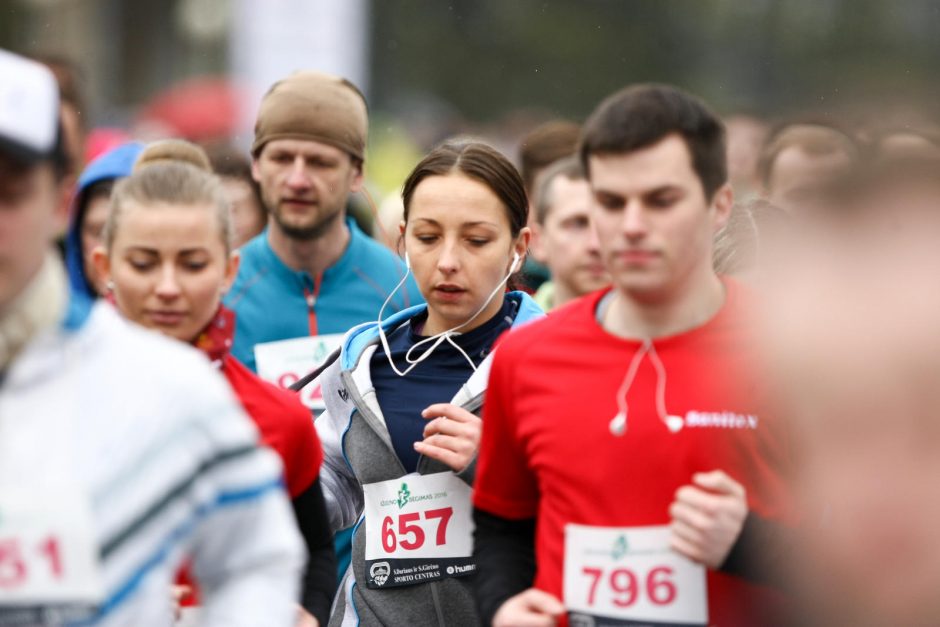 B. Vėsaitė per „Ąžuolyno bėgimą“ slėpėsi po medžiu?