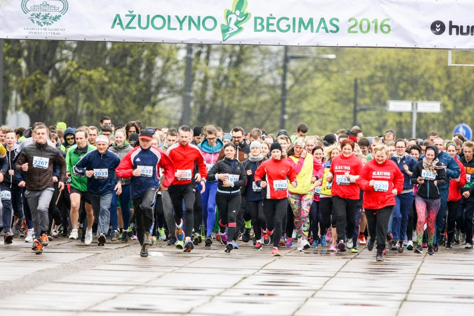 B. Vėsaitė per „Ąžuolyno bėgimą“ slėpėsi po medžiu?