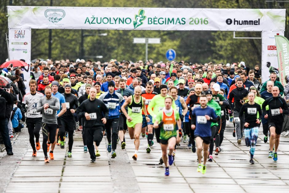 B. Vėsaitė per „Ąžuolyno bėgimą“ slėpėsi po medžiu?