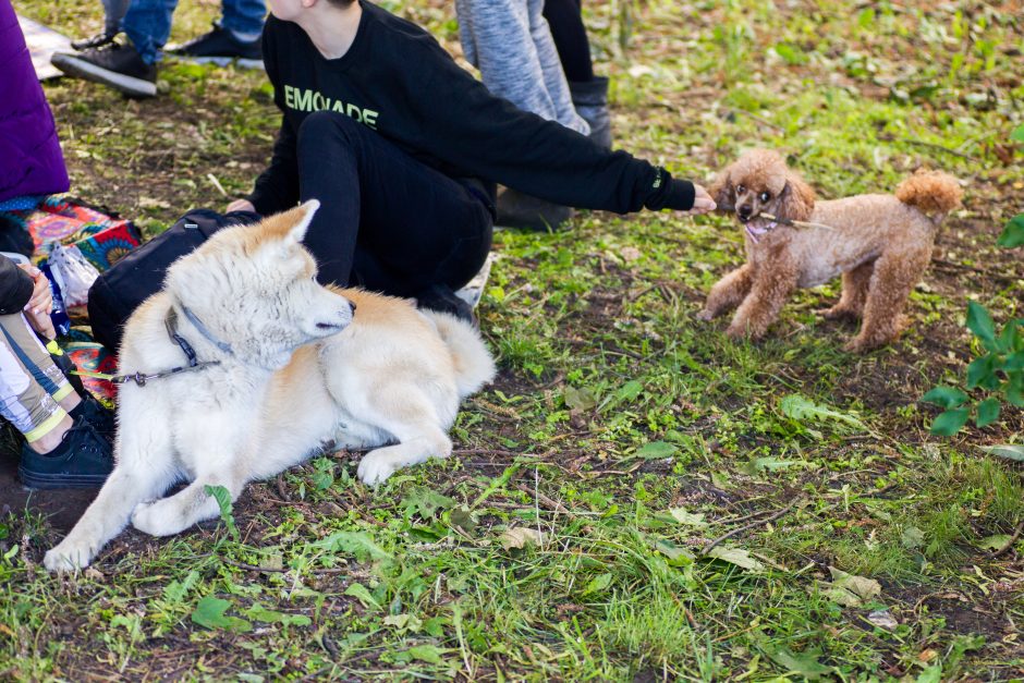 Veganų piknikas: draugiška kompanija, pačių gaminti patiekalai ir diskusijos