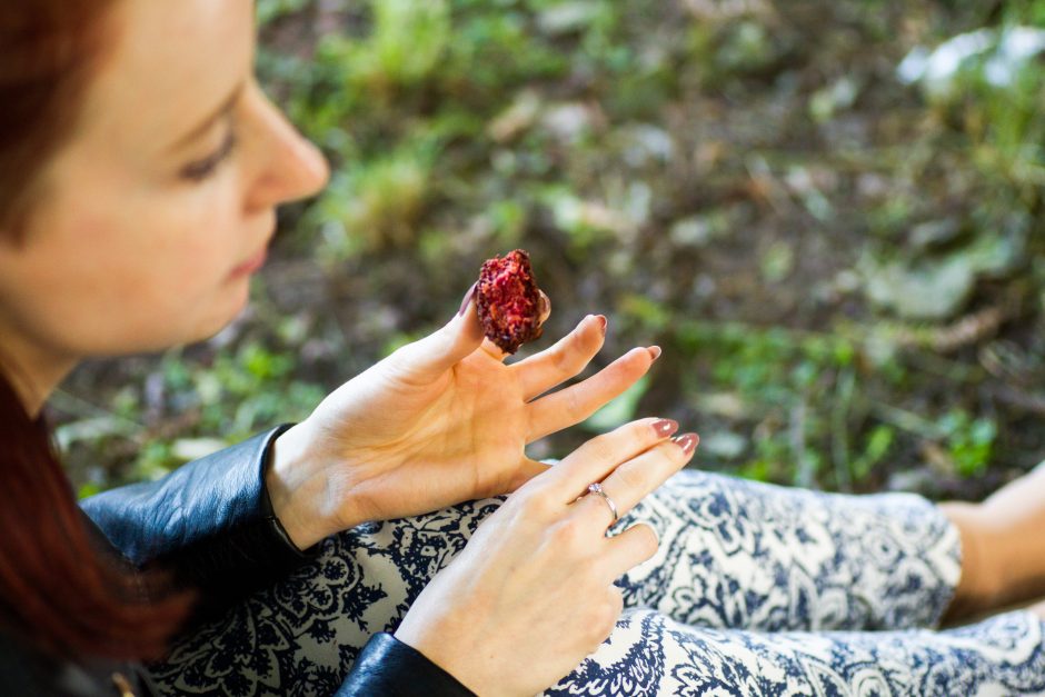 Veganų piknikas: draugiška kompanija, pačių gaminti patiekalai ir diskusijos