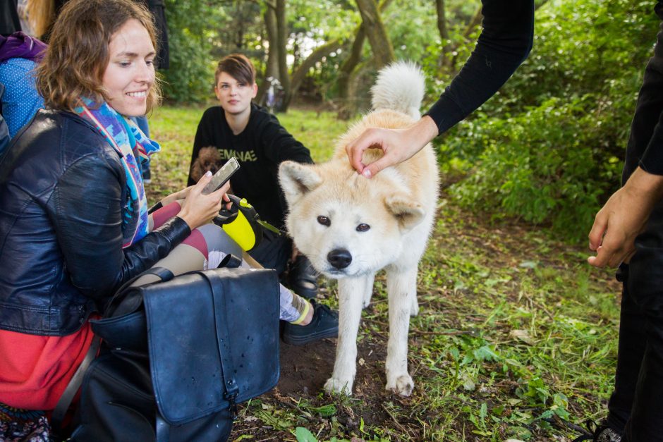 Veganų piknikas: draugiška kompanija, pačių gaminti patiekalai ir diskusijos