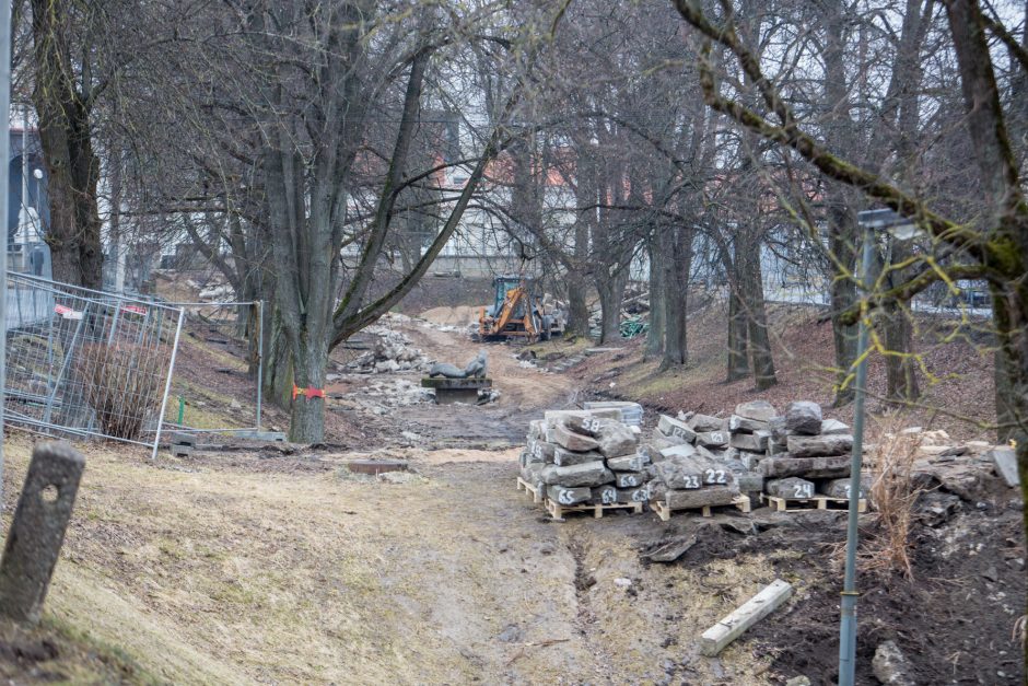 Protestuotojai nori gelbėti Kauko laiptų medžius