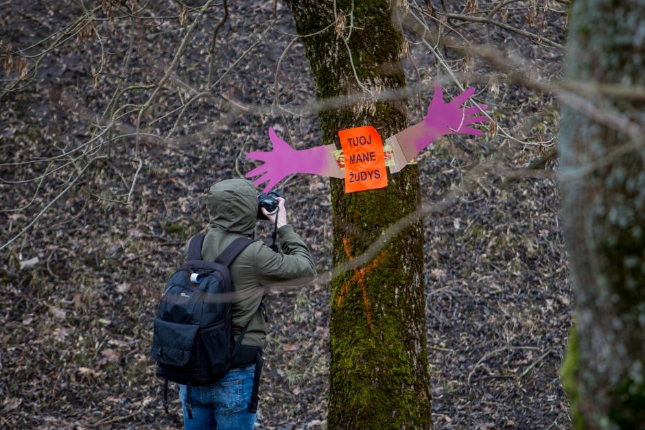 Protestuotojai nori gelbėti Kauko laiptų medžius