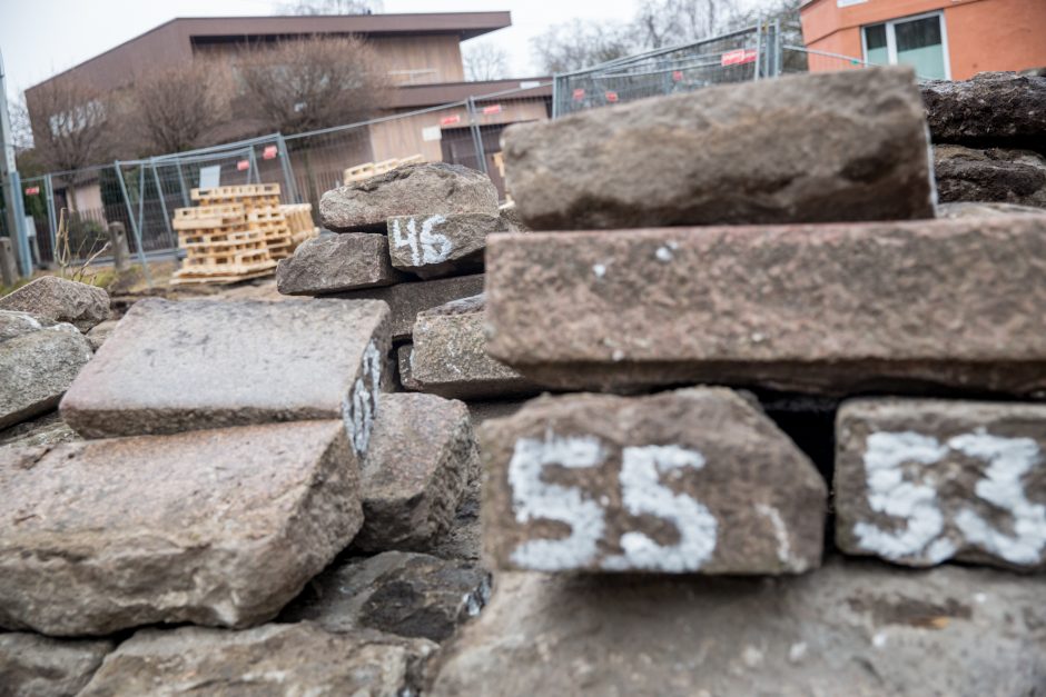 Protestuotojai nori gelbėti Kauko laiptų medžius