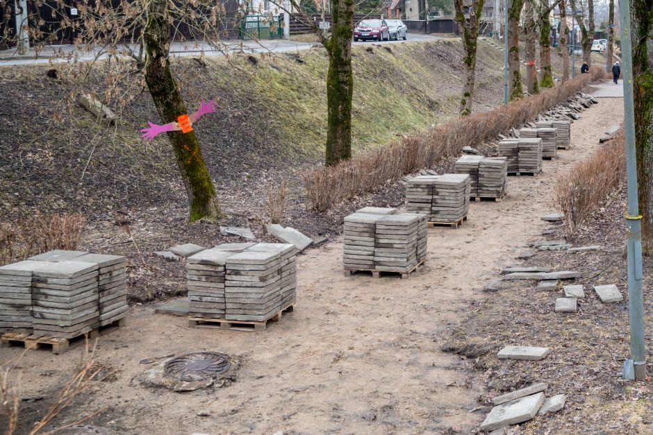 Protestuotojai nori gelbėti Kauko laiptų medžius