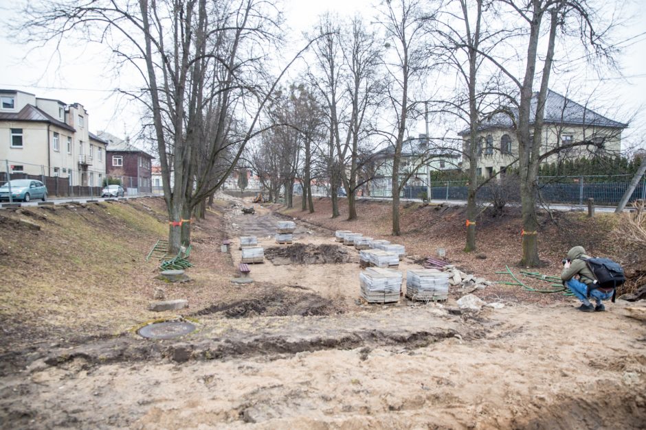 Protestuotojai nori gelbėti Kauko laiptų medžius