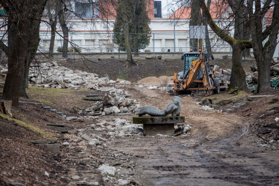 Protestuotojai nori gelbėti Kauko laiptų medžius