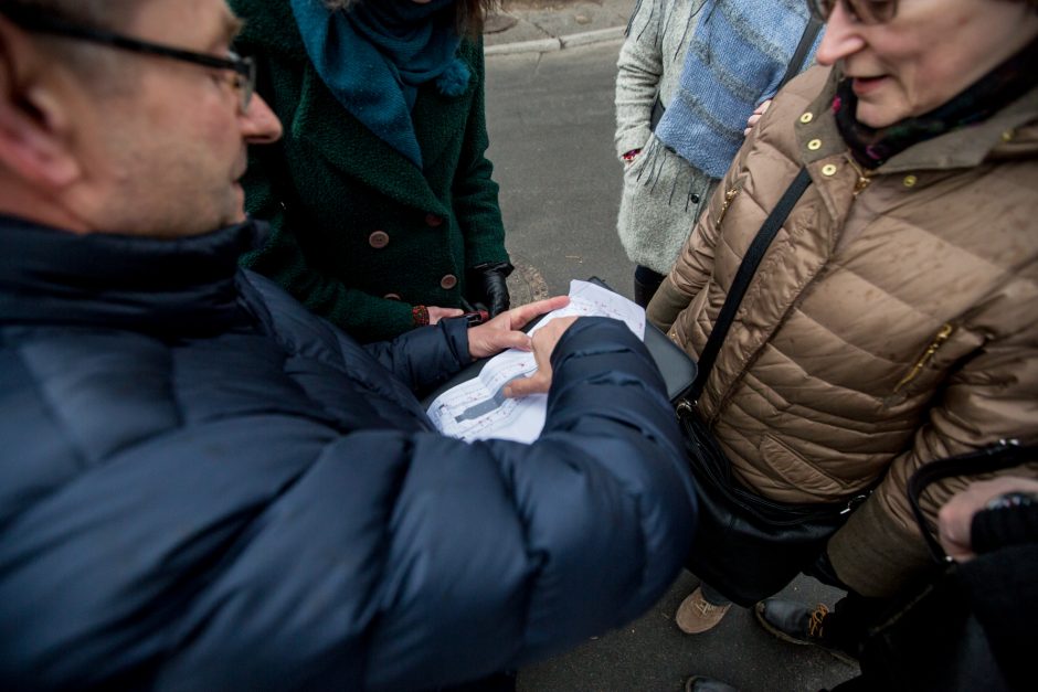 Protestuotojai nori gelbėti Kauko laiptų medžius