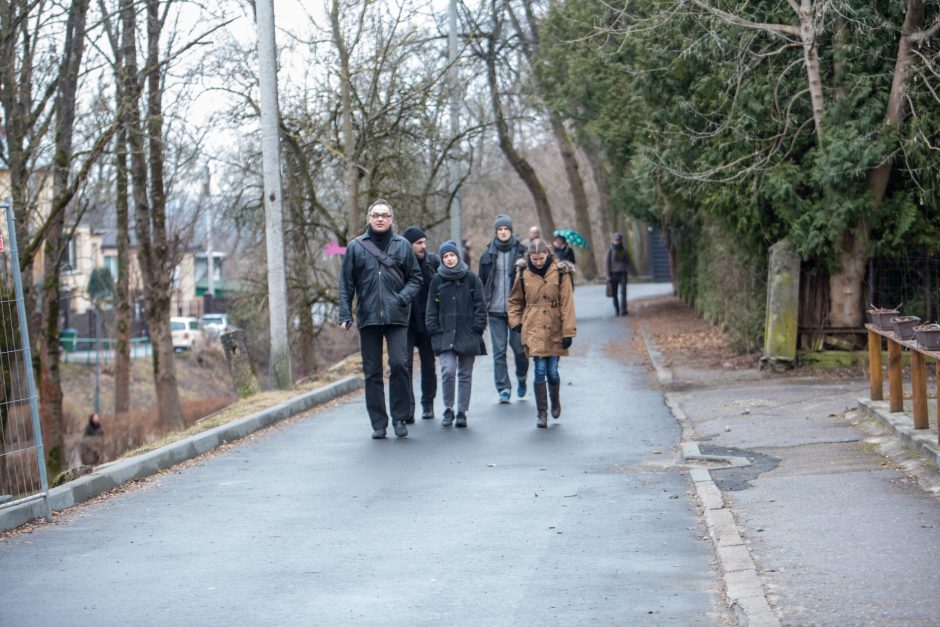 Protestuotojai nori gelbėti Kauko laiptų medžius