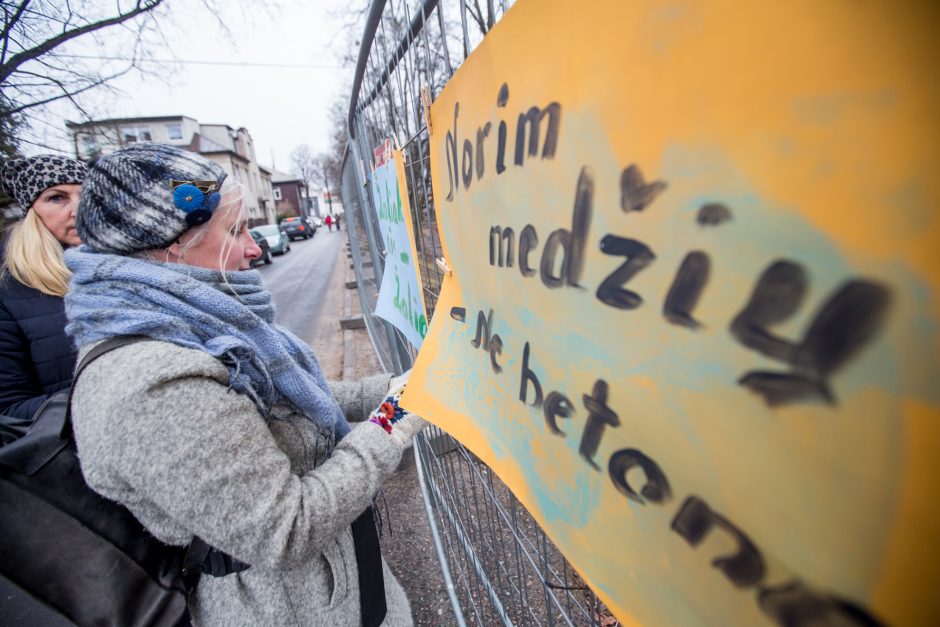 Protestuotojai nori gelbėti Kauko laiptų medžius