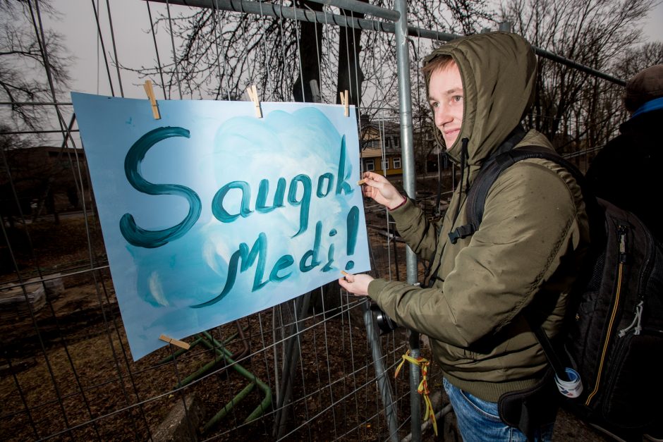 Protestuotojai nori gelbėti Kauko laiptų medžius