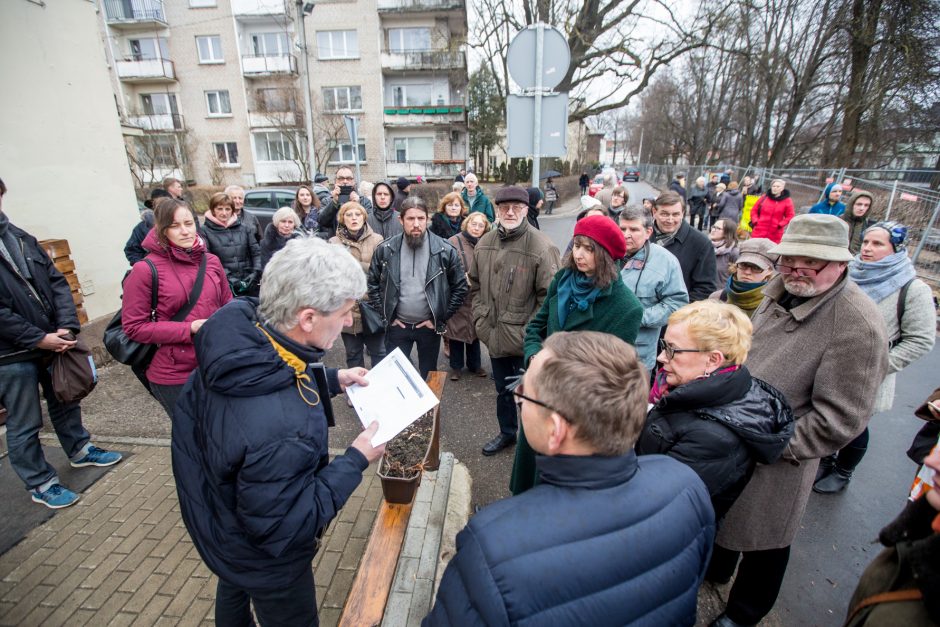 Protestuotojai nori gelbėti Kauko laiptų medžius