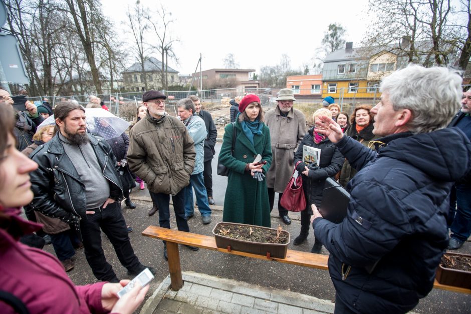 Protestuotojai nori gelbėti Kauko laiptų medžius