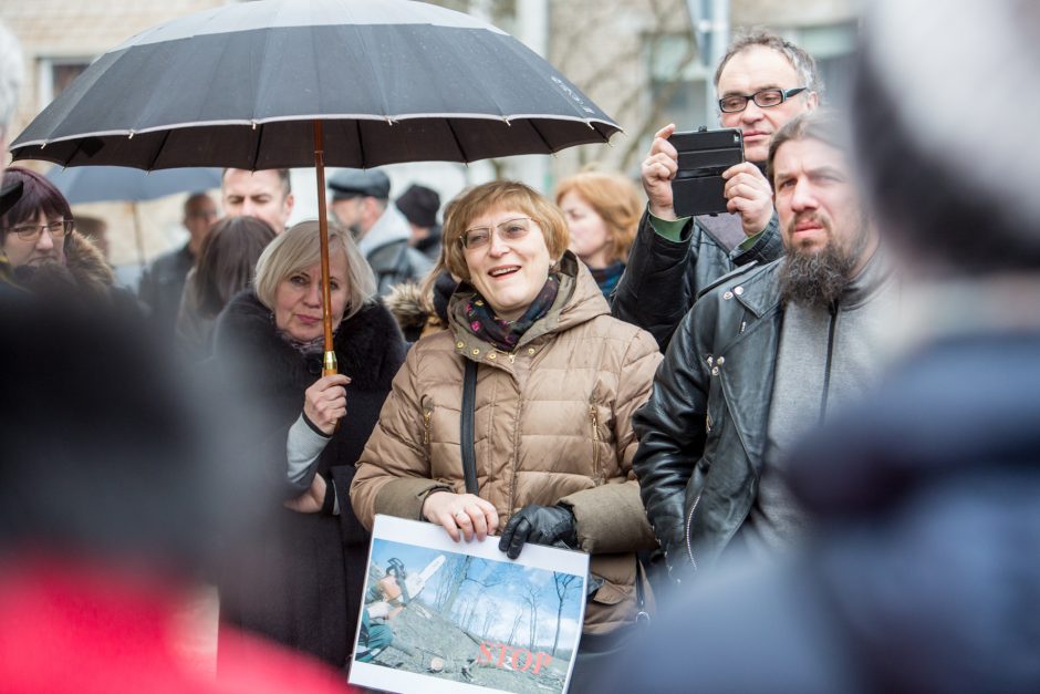 Protestuotojai nori gelbėti Kauko laiptų medžius