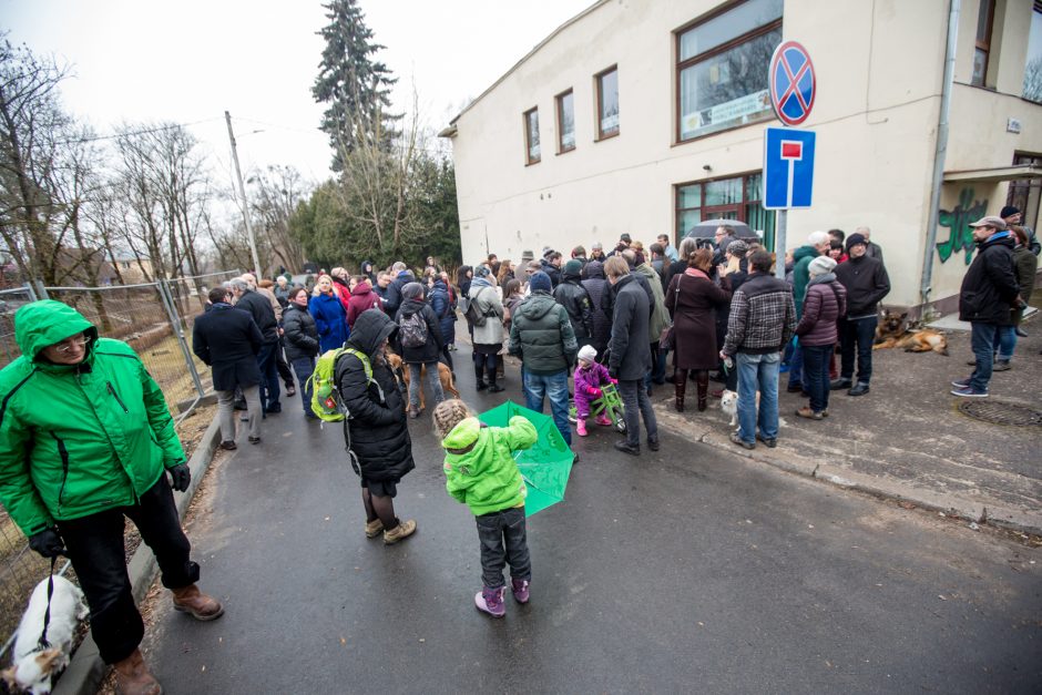 Protestuotojai nori gelbėti Kauko laiptų medžius