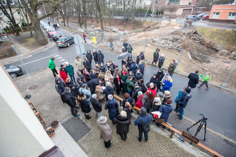 Protestuotojai nori gelbėti Kauko laiptų medžius