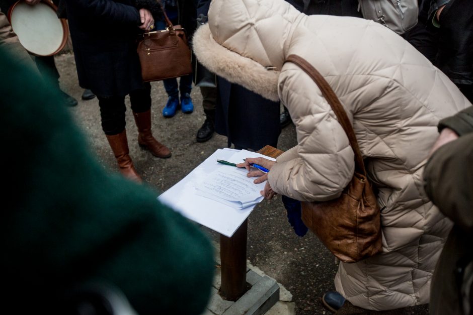 Protestuotojai nori gelbėti Kauko laiptų medžius