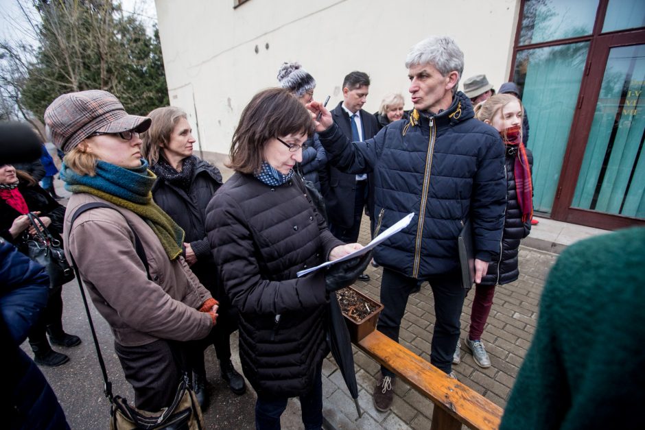 Protestuotojai nori gelbėti Kauko laiptų medžius