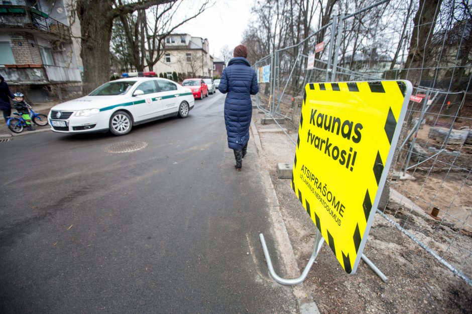 Protestuotojai nori gelbėti Kauko laiptų medžius