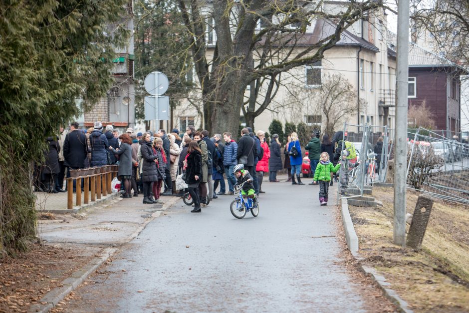 Protestuotojai nori gelbėti Kauko laiptų medžius