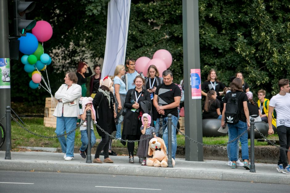 Parodos kalno šturmas: žmonės kopė kirpdamiesi, su vaišių stalais, šunys – neštuvuose