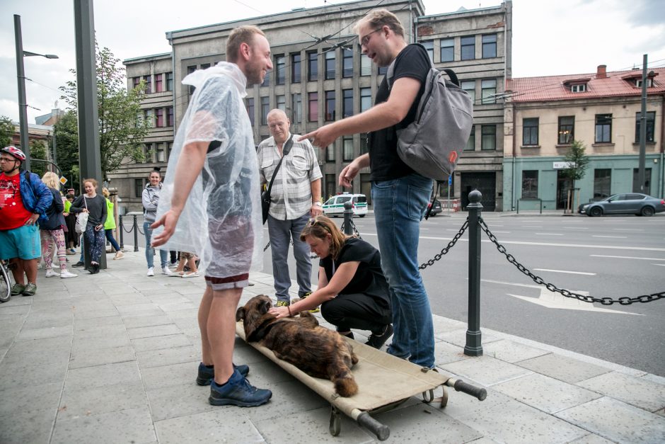 Parodos kalno šturmas: žmonės kopė kirpdamiesi, su vaišių stalais, šunys – neštuvuose