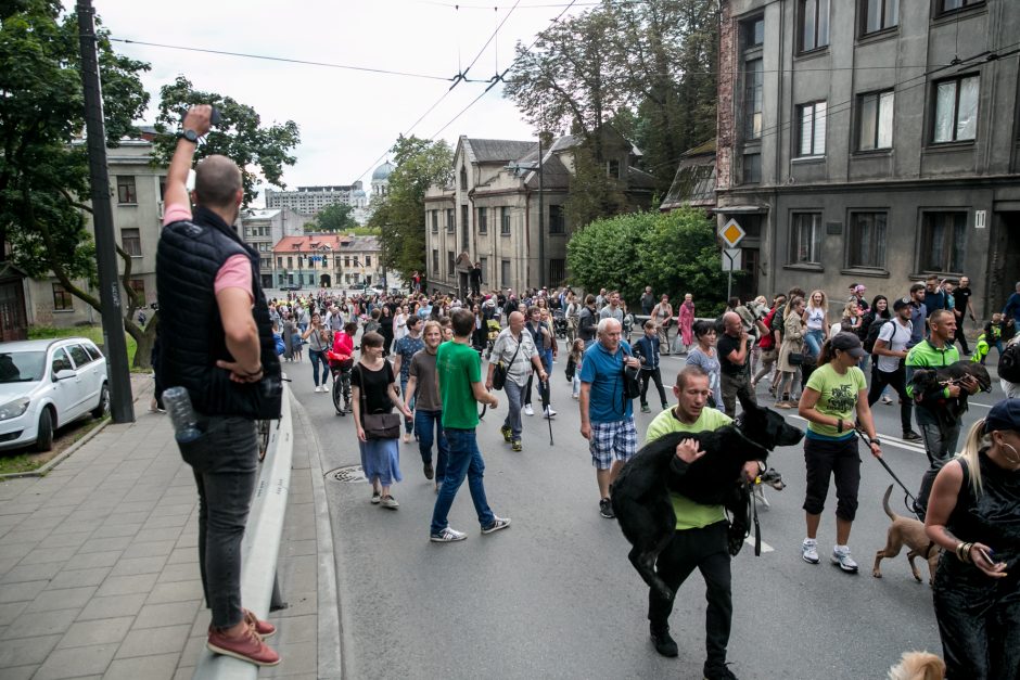 Parodos kalno šturmas: žmonės kopė kirpdamiesi, su vaišių stalais, šunys – neštuvuose