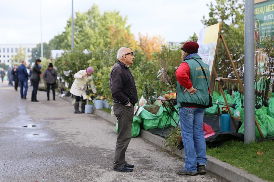 „Sprendimų ratas“ sukasi jau dešimtą kartą