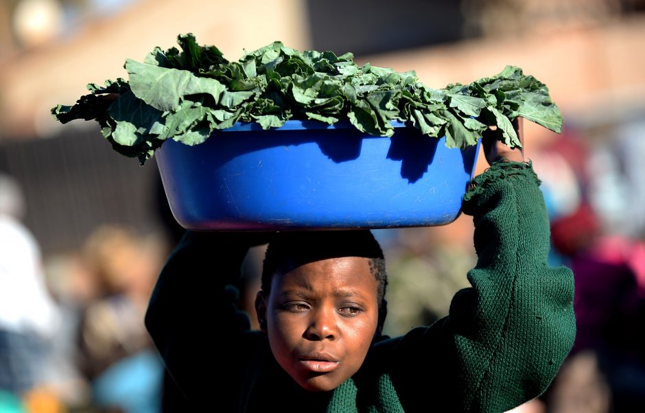 Afrikos Sąjunga: rinkimai Zimbabvėje buvo 