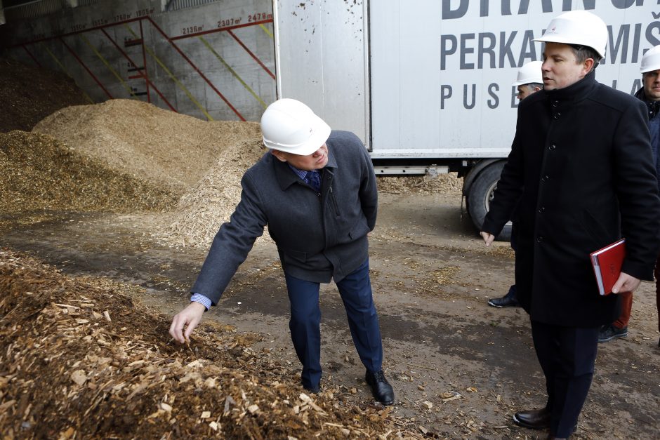 Šildymas biokuru pažabos kainų augimą?