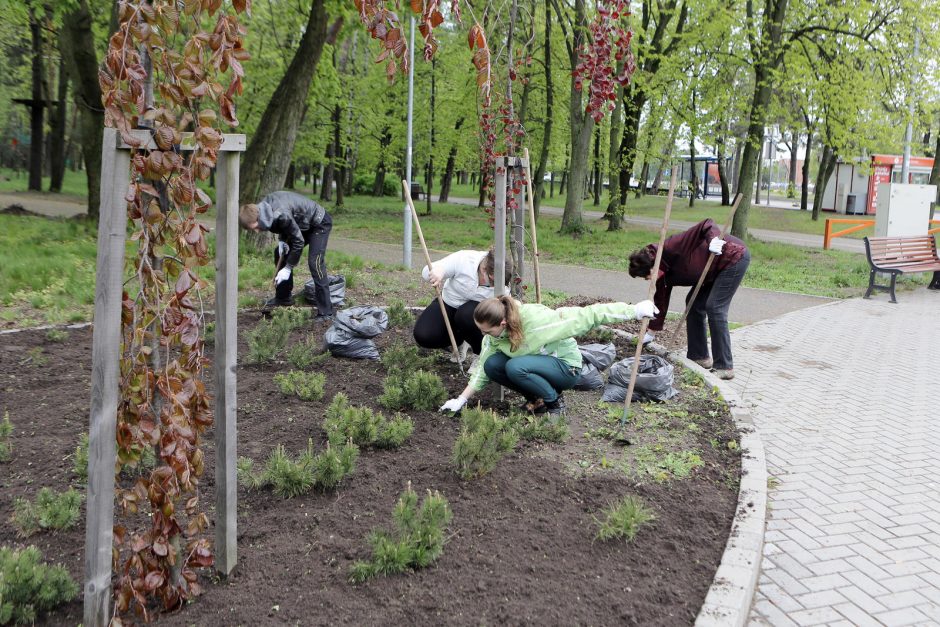 Talka parke suvienijo klaipėdiečius