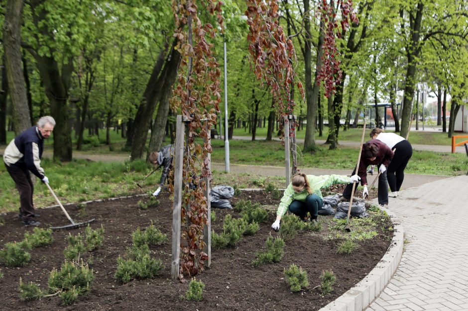 Talka parke suvienijo klaipėdiečius