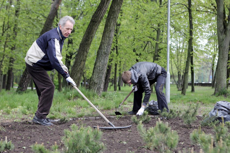 Talka parke suvienijo klaipėdiečius