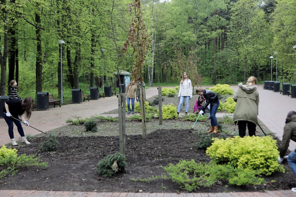 Talka parke suvienijo klaipėdiečius