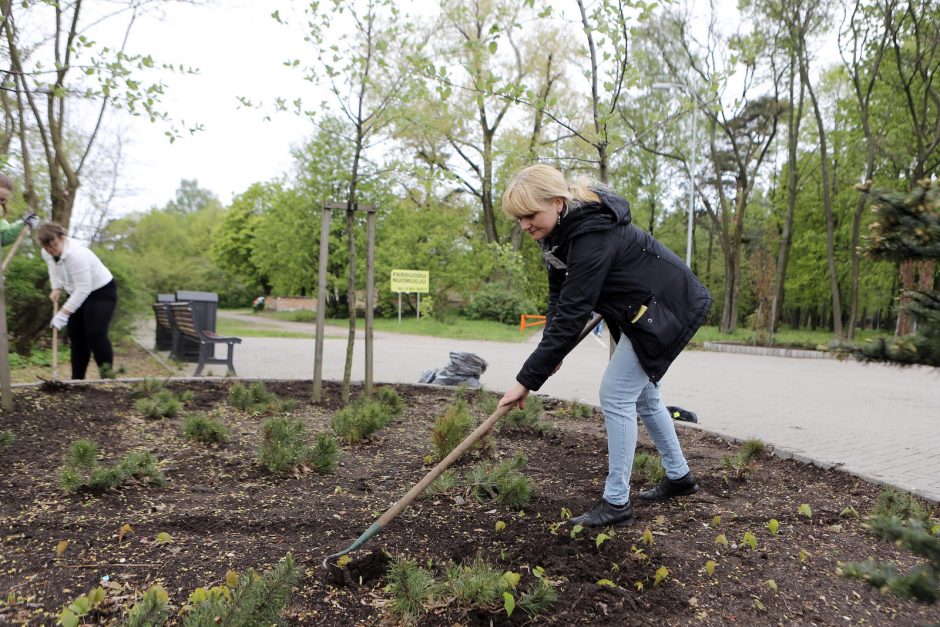 Talka parke suvienijo klaipėdiečius