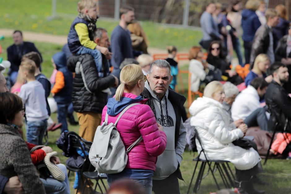 Mamoms – vaišių stalas ir koncertas