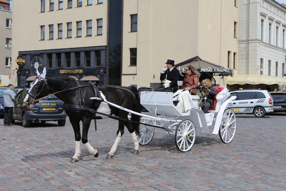 Kruizinį lainerį pasitiko jomarkas