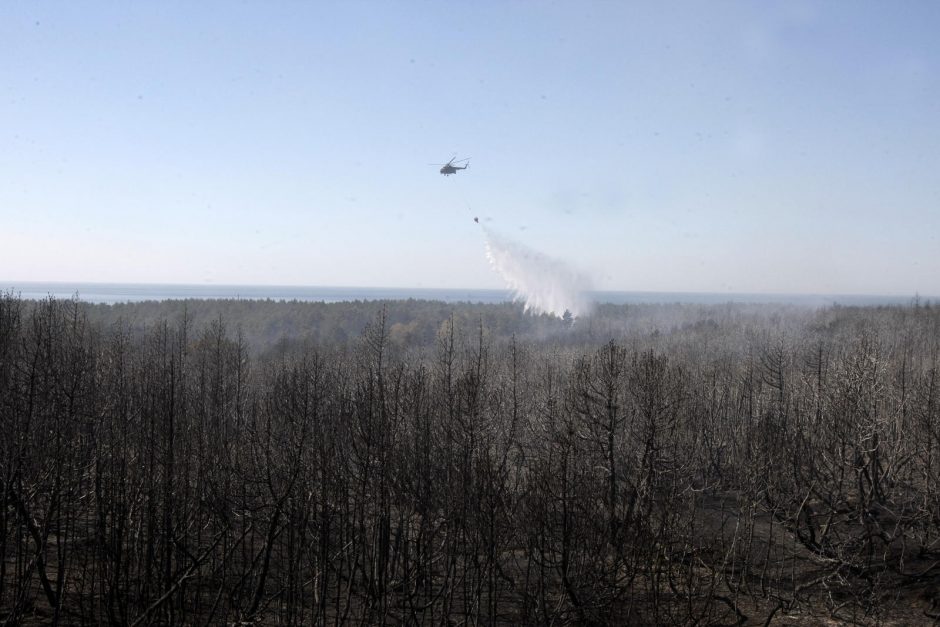 Kuršių nerijai padarytos žalos mastas paaiškės per savaitę 