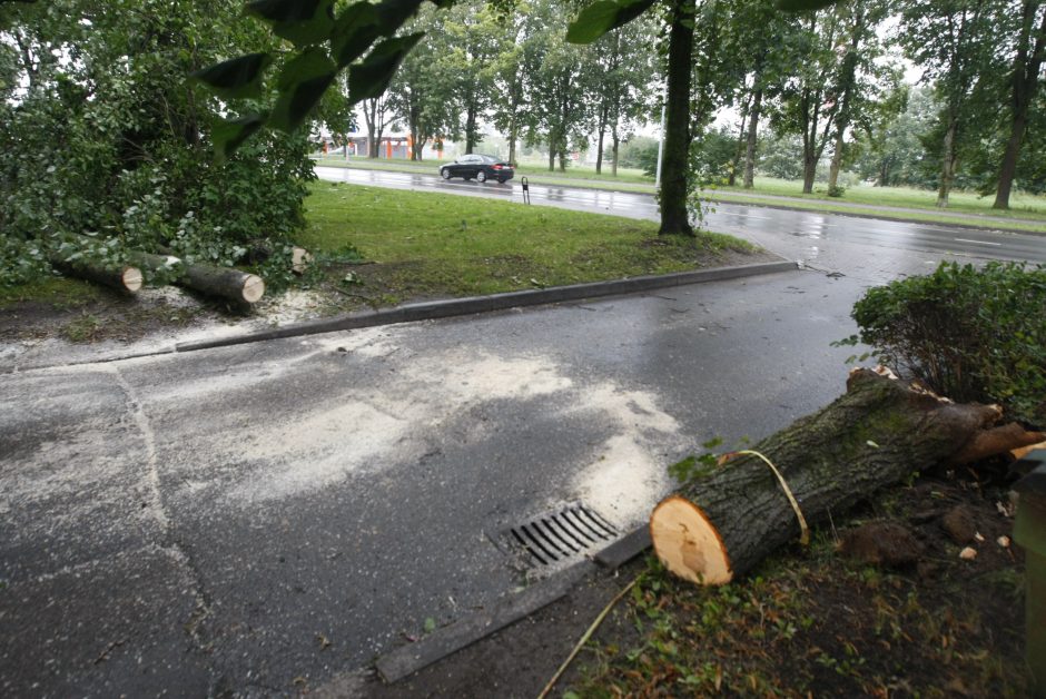 Per parą ugniagesiai daugiau nei 60 kartų vyko šalinti nuvirtusių medžių