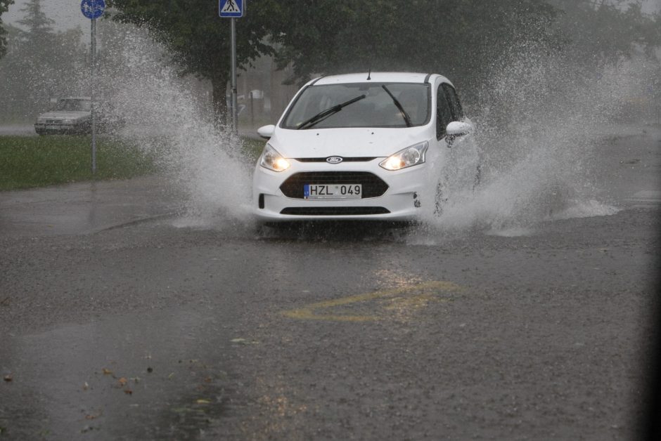 Per parą ugniagesiai daugiau nei 60 kartų vyko šalinti nuvirtusių medžių