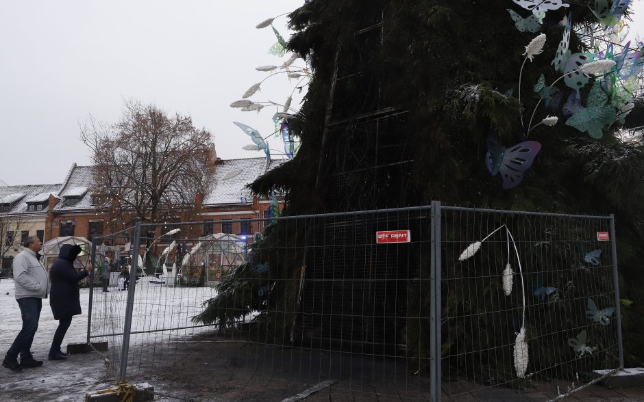 Eglės padegėjui gresia nelaisvė: naudojo degų skystį, per sulaikymą sužalotas pareigūnas