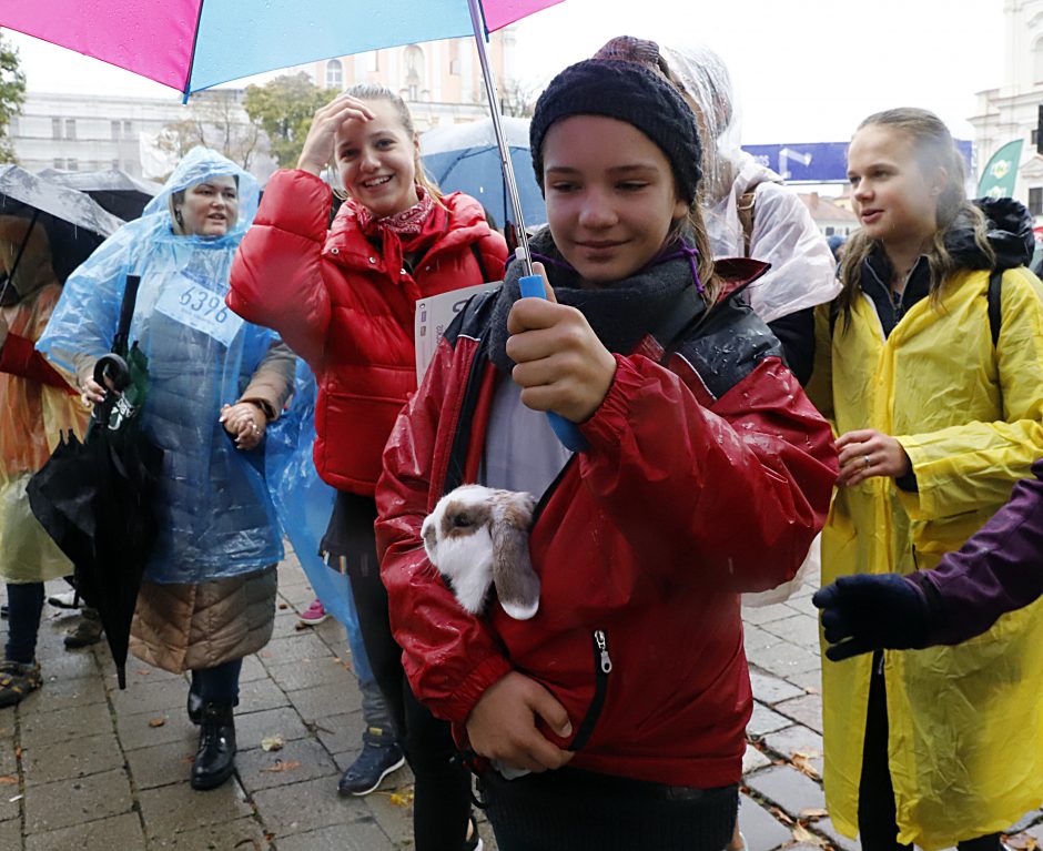 Tūkstančiai kauniečių nepabūgo prasto oro ir ryžosi dalyvauti ėjimo varžybose