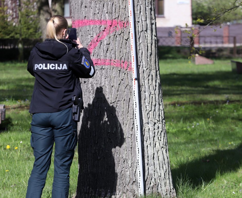 Provokacija Kauno kapinėse: ant medžių – draudžiami naudoti simboliai